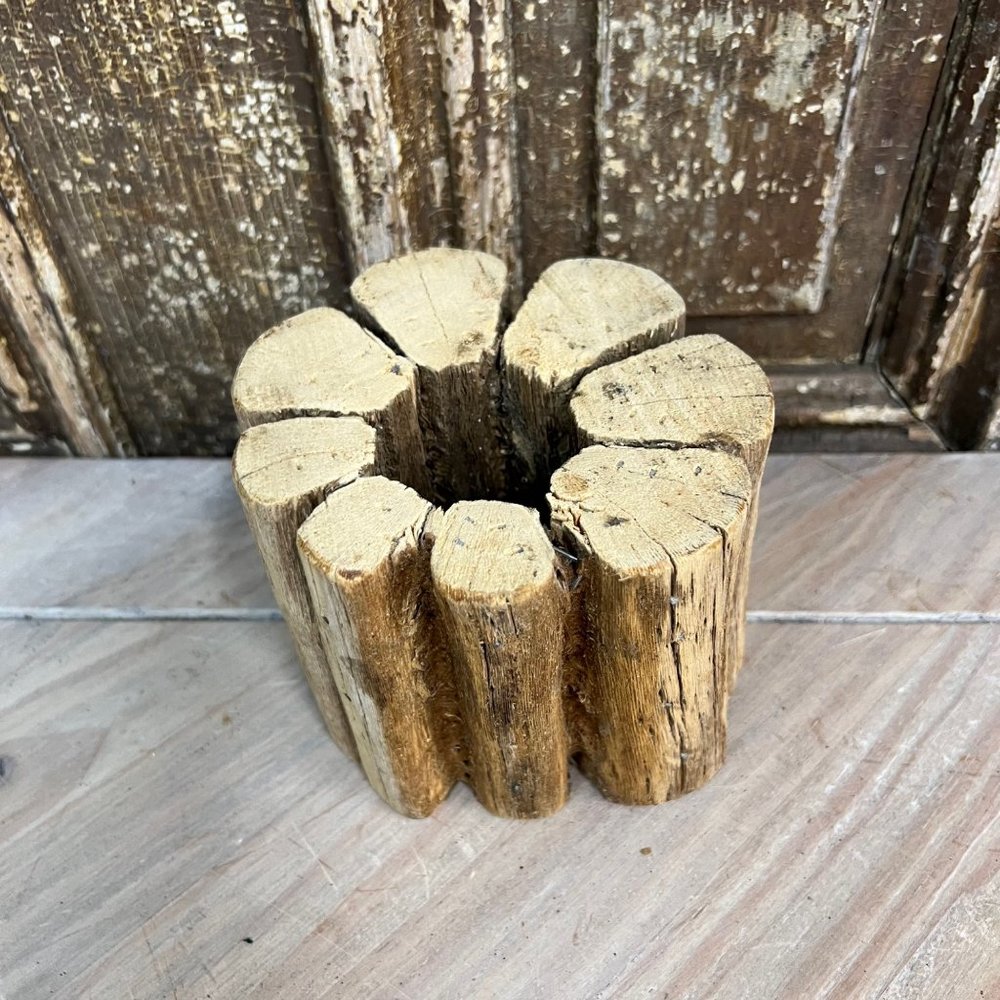 Cactus Riser - Picture 2 of 10